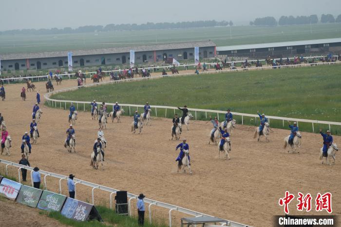 草原马超燃情开赛 传统竞技展牧民风采