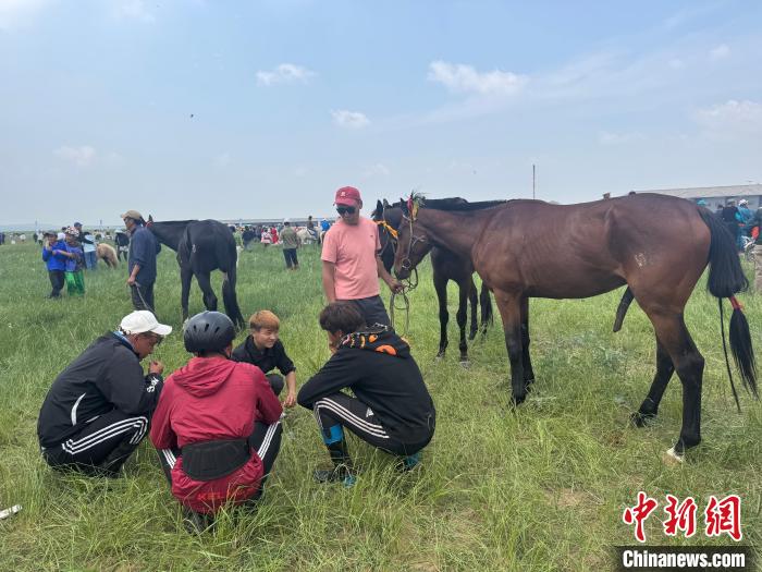 草原马超燃情开赛 传统竞技展牧民风采