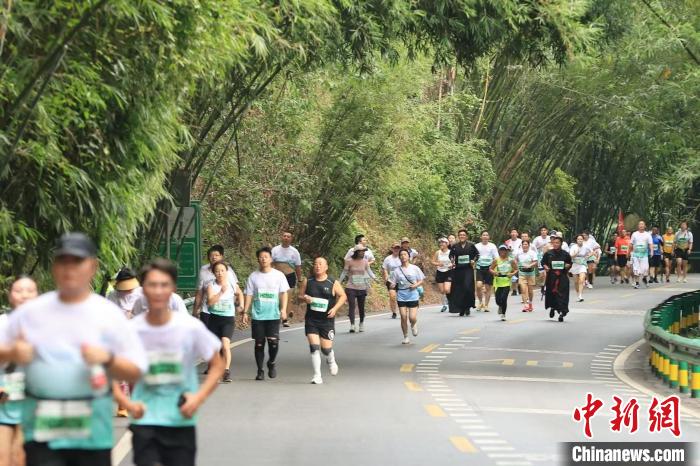 长宁·蜀南竹海半马开跑，万名跑友穿越竹林隧道